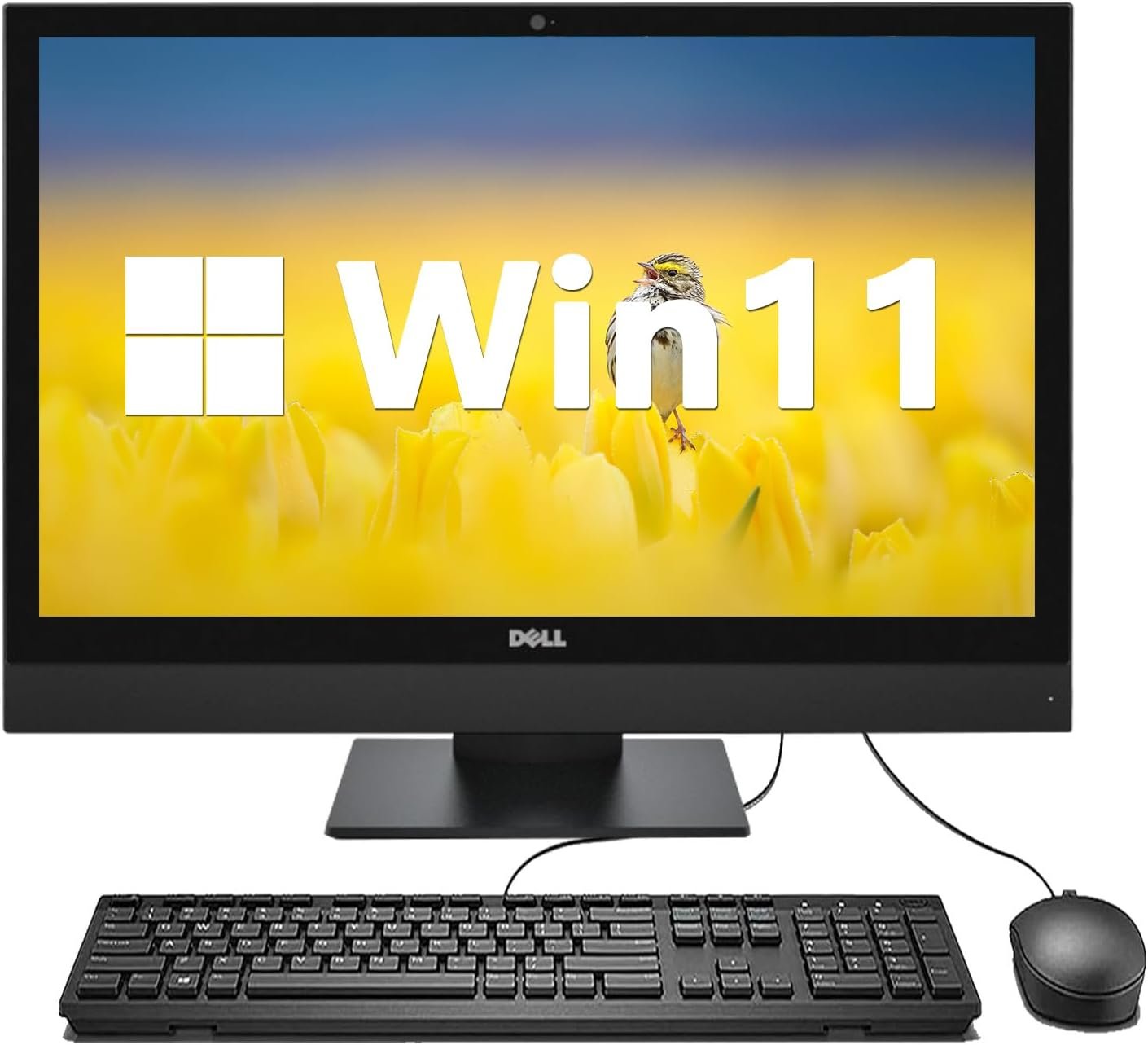 Dell Optiplex 3050 AIO Desktop Win11, 3050 All-in-one Computer PC, Intel 6th Gen Core i5-6500, 8GB RAM, 256GB SSD, DisplayPort, Windows 11 Pro (renewed)