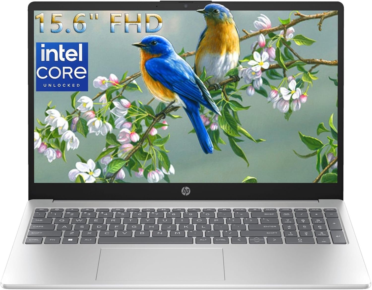 HP Notebook 15.6 FHD Laptop Computer with Microsoft Office 365, 16GB DDR4 RAM, 256GB SSD, Intel 4-Core N100 CPU, 2026 Edition, Numeric Keypad, Copilot AI, Windows 11 Home, Silver